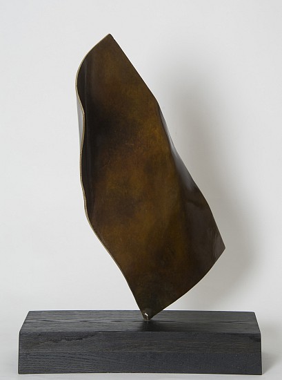 Joe Gitterman, Torso 16, 2015
Bronze, 25 3/4 x 19 x 5 1/2 in. (65.4 x 48.3 x 14 cm)
7339