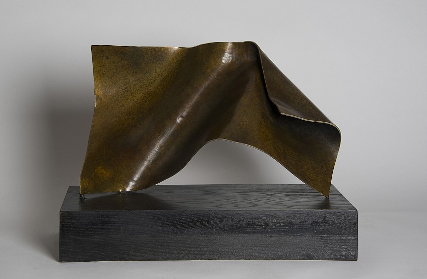 Joe Gitterman, Folded Form 5, 2014
Bronze, 11 1/2 x 20 1/4 x 9 in. (29.2 x 51.4 x 22.9 cm)
7337
