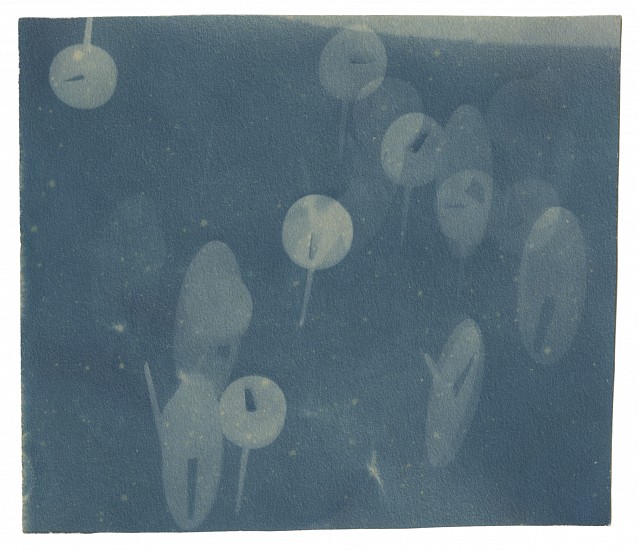 Fritz Kuhr, Untitled (thumb tacks), 1928
Cyanotype, 4 x 3 1/2 in. (10.2 x 8.9 cm)
8378
Sold