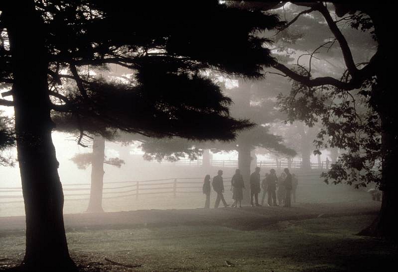 Charles H. Traub, Chadds Ford, PA, 1987
Pigment print, 13 x 19 in. (33 x 48.3 cm)
Edition of 10
1813
