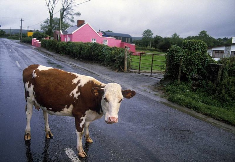 Charles H. Traub, Armagh, N. Ireland, 1985
Pigment print, 13 x 19 in. (33 x 48.3 cm)
Edition of 10
1897