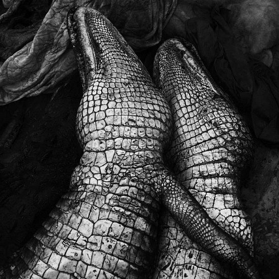 Debbie Fleming Caffery, Gator Love, 1995
Gelatin silver print, 18 7/8 x 18 7/8 in. (48.1 x 48.1 cm)
Edition of 25
2640
Price Upon Request