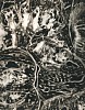 Josef Breitenbach, Photogram, New York
c. 1946-49, Vintage gelatin silver print