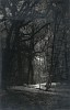 Josef Breitenbach, Light in the Woods
c. 1930, Vintage gelatin silver print