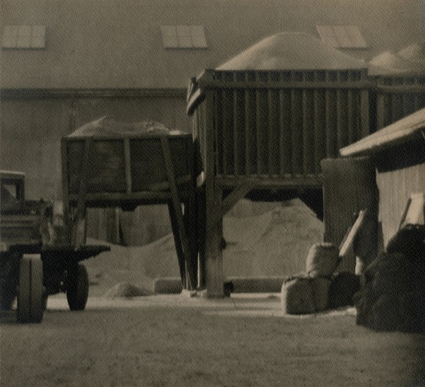 Alma Lavenson, Sand, 1929
Vintage gelatin silver print, 8 5/8 x 9 1/2 in. (21.9 x 24.1 cm)
5157