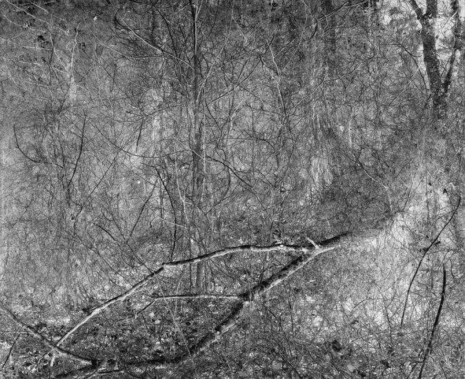 Charles H. Traub, Kentucky, 1973
Vintage gelatin silver print, 10 1/2 x 13 in. (26.7 x 33 cm)
4200