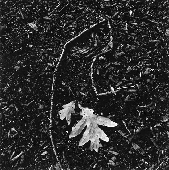 Charles H. Traub, Kentucky, 1969
Vintage gelatin silver print, 6 1/16 x 6 1/16 in. (15.4 x 15.4 cm)
4336