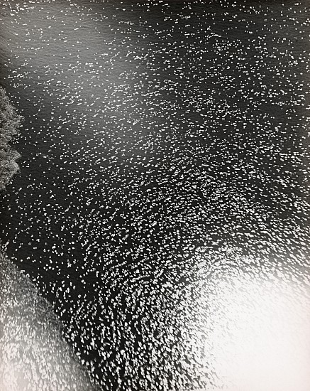 Herbert Matter, Untitled, c. late 1930s
Vintage gelatin silver print, 13 13/16 x 10 15/16 in. (35.1 x 27.8 cm)
5638