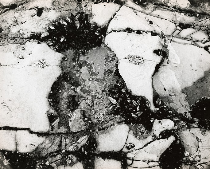 Herbert Matter, Untitled, c. late 1940s
Vintage gelatin silver print, 10 9/16 x 13 1/16 in. (26.8 x 33.2 cm)
5684
Sold