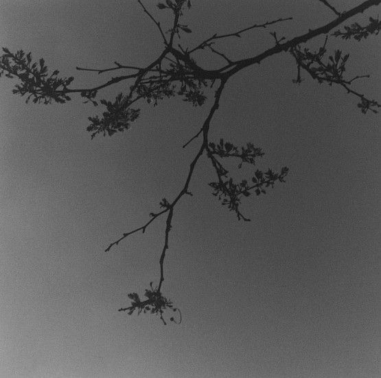 Ken Collins, Fort Greene Suite # 1, 2001
Gelatin silver print, 9 x 9 in. (22.9 x 22.9 cm)
Edition of 10
1276
Price Upon Request