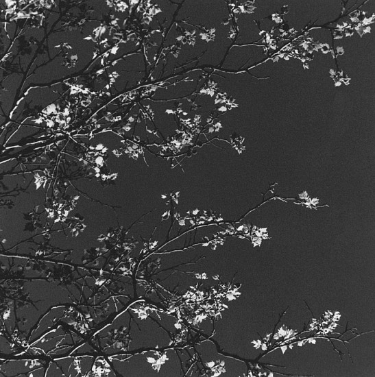 Ken Collins, Fort Greene Suite # 111, 2002
Gelatin silver print, 9 x 9 in. (22.9 x 22.9 cm)
Edition of 10
1277
Price Upon Request