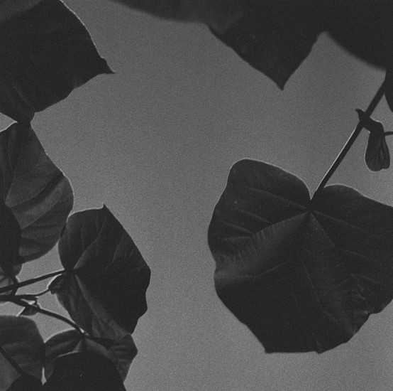 Ken Collins, Fort Greene Suite # 29, 2001
Gelatin silver print, 9 x 9 in. (22.9 x 22.9 cm)
Edition of 10
1280
Price Upon Request