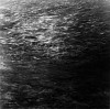 Ken Collins, River Meditation # 0440
2004, Gelatin silver print