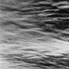 Ken Collins, River Meditation # 1721
2005, Gelatin silver print