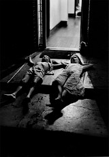 Machiel Botman Press: The New York Sun, September 23, 2004