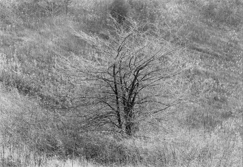 Kenneth Josephson, Wisconsin, 1964
Vintage gelatin silver print, 4 9/16 x 6 5/8 in. (11.6 x 16.8 cm)
4069
$5,000