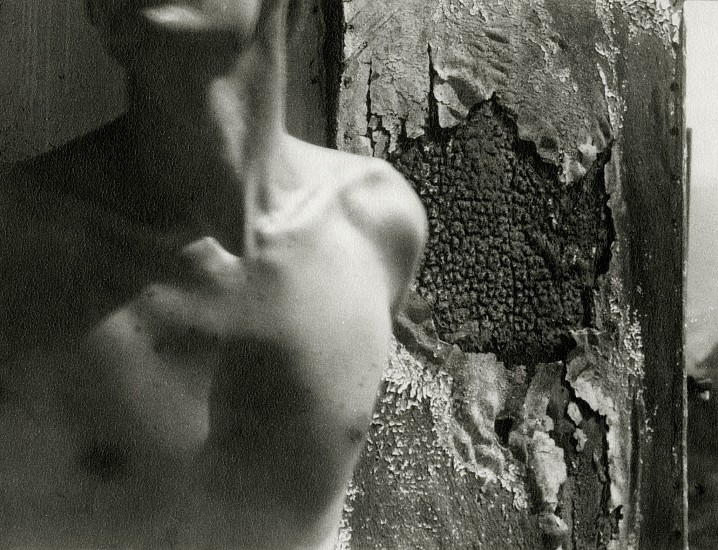 Edmund Teske, Male Nude, Ice Box Series, 1954-5
Vintage gelatin silver print, 3 1/4 x 4 1/4 in. (8.3 x 10.8 cm)
5946