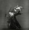 Herbert Matter, Figure in Motion
1939, Vintage gelatin silver print