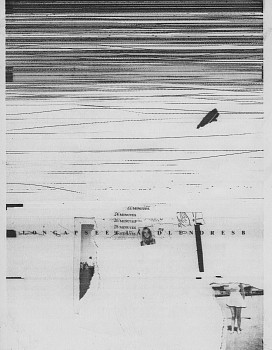 William Larson - Untitled, Fireflies series