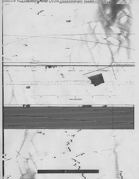 William Larson - Untitled, Fireflies series