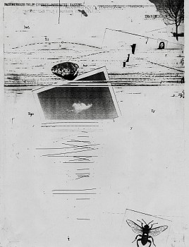 Work: Untitled, Fireflies series