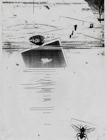 William Larson, Untitled, Fireflies series, 1969-78
Electro-carbon print, 11 x 8 1/2 in. (27.9 x 21.6 cm)
6307
Sold