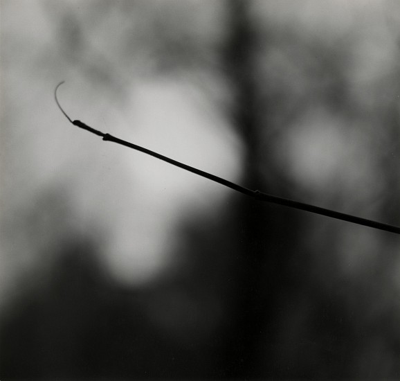 Ralph Eugene Meatyard, Untitled (Zen Twig), 1961
Vintage gelatin silver print, 6 3/4 x 6 3/4 in. (17.1 x 17.1 cm)
4180
Sold