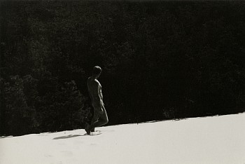 Work: Jared French, Provincetown