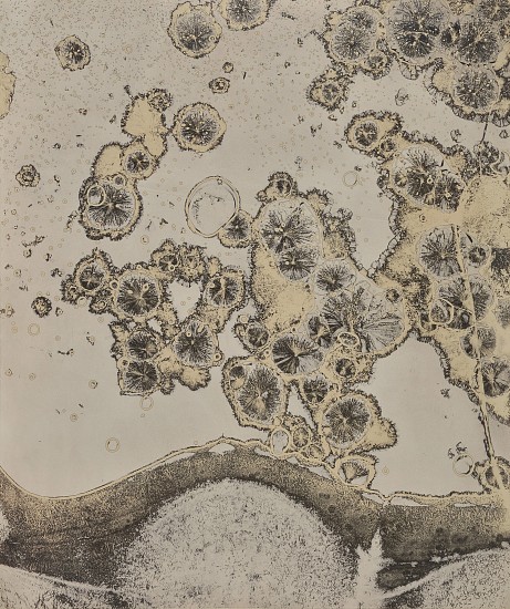 Jean-Pierre Sudre, First Matériographie, 1960
Vintage toned gelatin silver print; Mordançage, 23 1/2 x 19 5/8 in. (59.7 x 49.9 cm)
6691
Sold