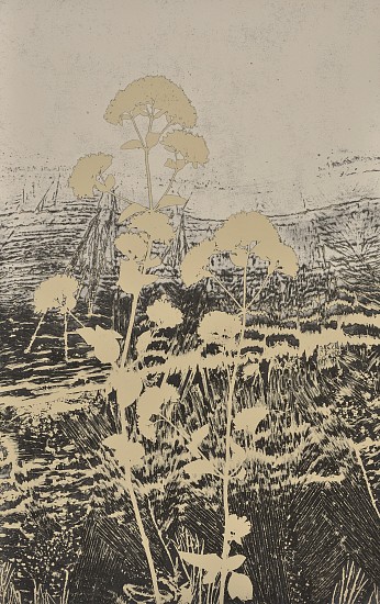Jean-Pierre Sudre, Matièrè et Végétal, 1978
Vintage toned gelatin silver print; Mordançage, 11 7/8 x 7 3/4 in. (30.2 x 19.7 cm)
6690
Sold