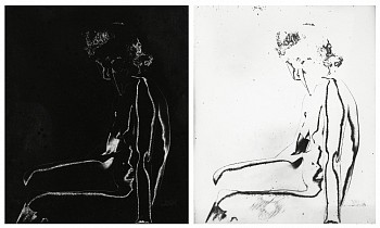 Work: Solarized Nudes