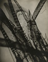Eli Lotar Biography