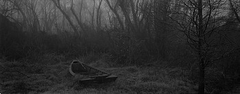 Work: Atchafalaya Swamp, Louisiana