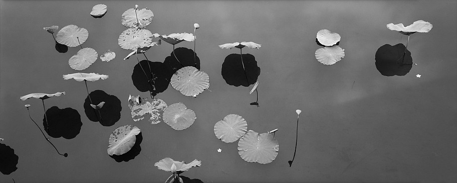 Lois Conner, The Citadel, Hue, Vietnam, 1995
Platinum print, 6 1/2 x 16 1/2 in. (16.5 x 41.9 cm)
Edition of 10
5886