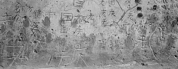 Work: Qingniao, Guangxi, China