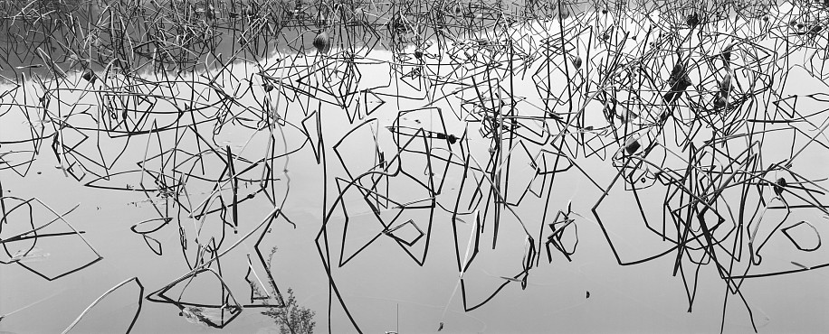 Lois Conner, Hangzhou, Zhejiang, China, 1998
Platinum print, 6 1/2 x 16 1/2 in. (16.5 x 41.9 cm)
Edition of 5
5898