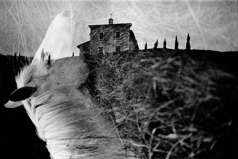 Machiel Botman, Horse and Church, 2008
Gelatin silver print, 14 3/8 x 21 1/2 in. (36.5 x 54.6 cm)
Edition of 10
7201
$3,400