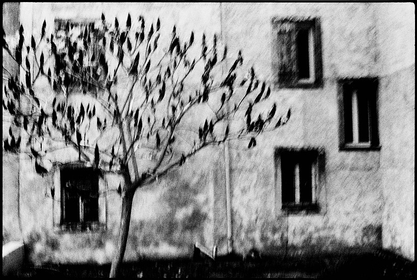 Machiel Botman, Tree House, 2008
Gelatin silver print, 14 7/16 x 21 9/16 in. (36.7 x 54.8 cm)
Edition of 10
4733
$3,400