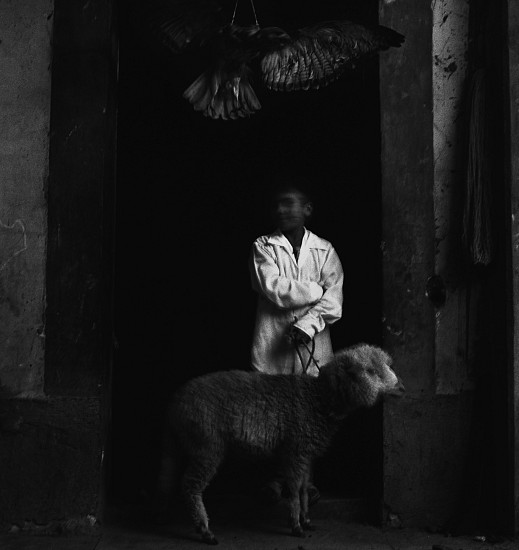 Debbie Fleming Caffery, Luis, Aug-93
Gelatin silver print, 20 7/8 x 18 3/4 in. (53 x 47.6 cm)
Edition of 25
2670
$4,500