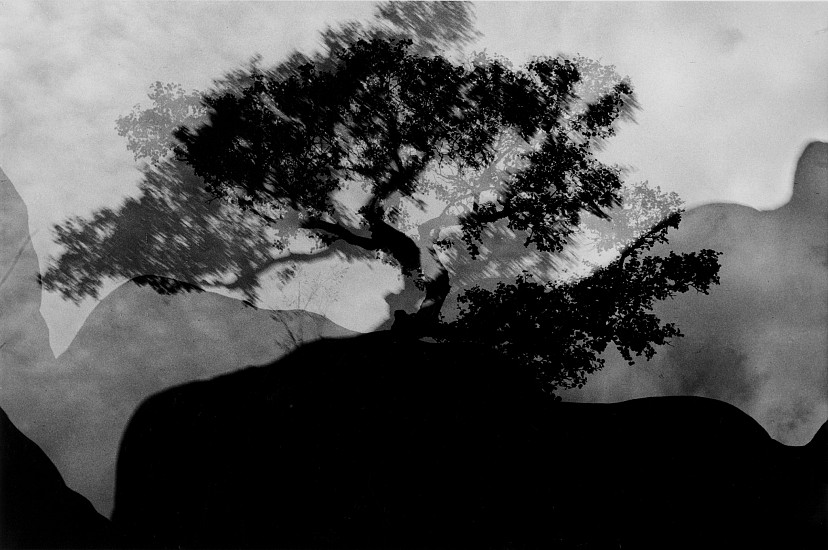 Machiel Botman, Yorkshire, 1991
Gelatin silver print, 11 1/8 x 16 in. (28.3 x 40.6 cm)
Edition of 10
1395