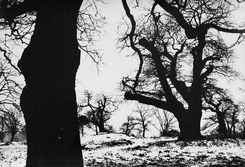 Roger Mayne, Richmond Park, Snow, 1965
Vintage gelatin silver print, 15 5/8 x 23 1/16 in. (39.7 x 58.6 cm)
2943
Sold