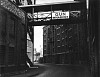 Roger Mayne, Wapping
1959, Vintage gelatin silver print