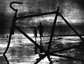 Work: Bords de Loire (Edges of the Loire River)