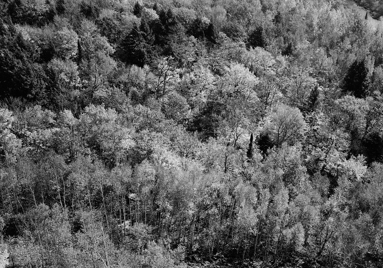 Kenneth Josephson, Wisconsin, c. 1964
Vintage gelatin silver print, 4 5/8 x 6 5/8 in. (11.8 x 16.8 cm)
4034
Price Upon Request