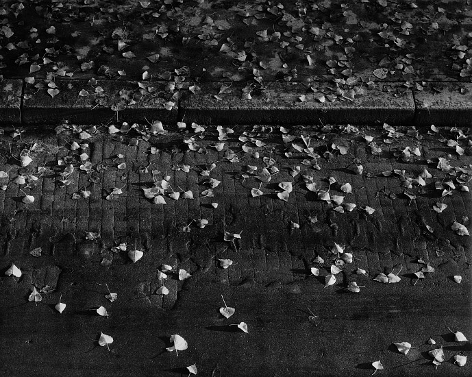 Daniel Masclet, Feuilles mortes au soleil levant, 1942
Early gelatin silver print; printed 1950s, 9 1/16 x 11 3/8 in. (23 x 28.9 cm)
3457
Sold