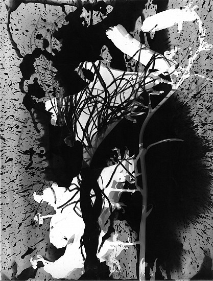 Roger Catherineau, Photogramme, 1957
Vintage gelatin silver print, 15 3/4 x 11 7/8 in. (40 x 30.2 cm)
2847