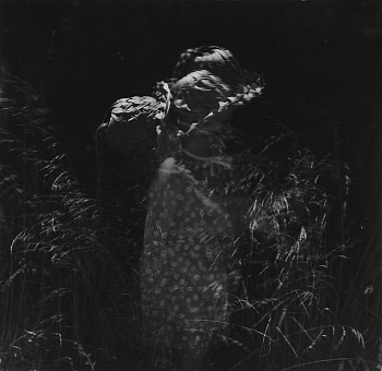 Work: Flowers in Motion