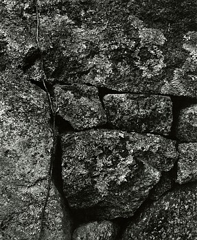 Aaron Siskind - Martha's Vineyard