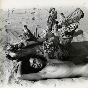 Herbert Matter - Mercedes, Provincetown