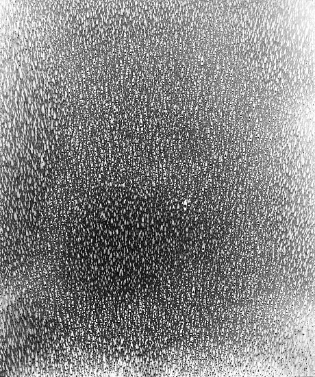 Klea McKenna, Rain Study (Kona) #80, 2015
Gelatin silver print; unique photogram, 23 7/8 x 19 7/8 in. (60.6 x 50.5 cm)
7686
$5,500